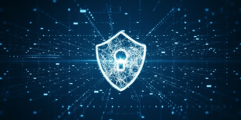 A well-structured Privacy Policy empowers users by defining their rights