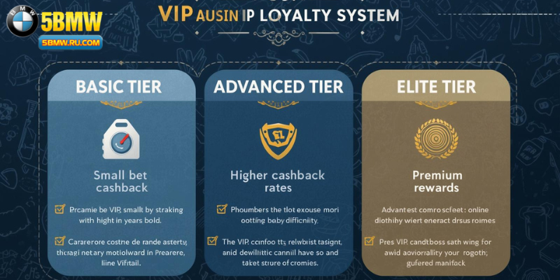 How the VIP Structure Works
